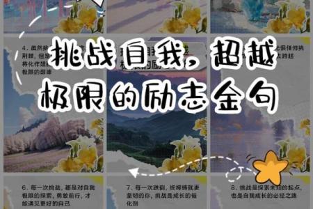 阳土命的人适合做什么行业?挖掘你的潜力与职业方向!