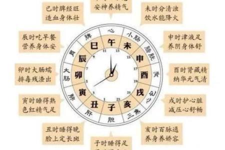 通过生日时辰解析五行命理，揭示你的命运密码！