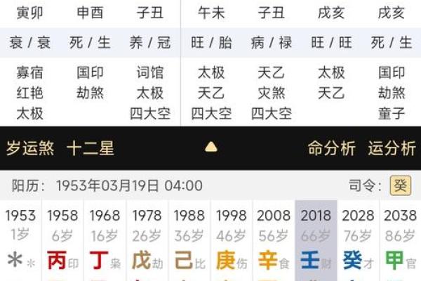 乙巳时的五行解读与命格分析：了解你的命运密码