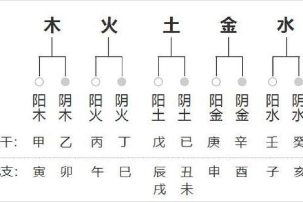 五行命理深度揭秘：戊己丙丁属什么命，你了解吗？