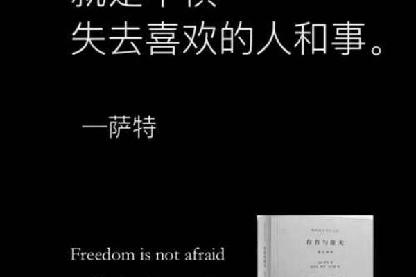 探寻零度命运：若水的无奈与坚持