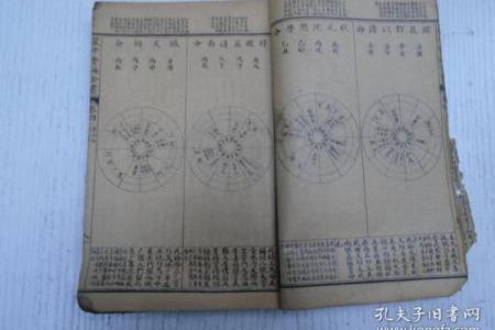 休将年命论详解:如何理解这一命理学的高低之分?