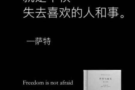 探寻零度命运:若水的无奈与坚持