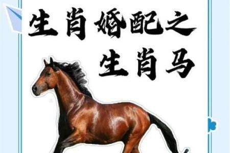 探寻生肖马命理与时针的奥秘:解读幸福与命运的交汇点