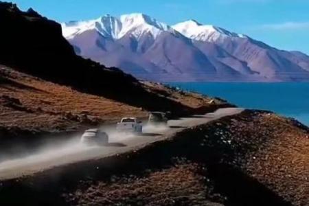 杨柳木命的男孩:性格、命运与人生旅程解析