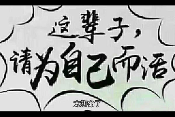 遭命随命正命：人生的顺应与选择之道