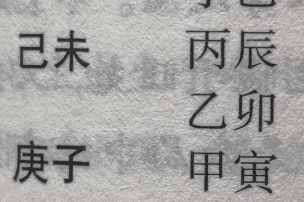 探秘女命己未戊午：命理与人生的奇妙交织
