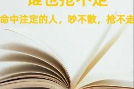 消逝的命运——解析《无需命》的深刻内涵与情感体验