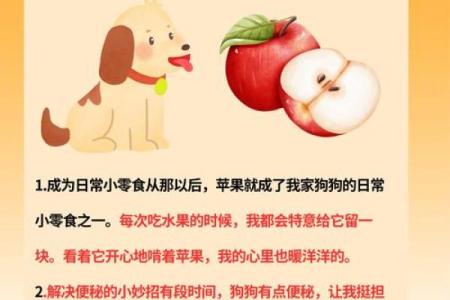 羊与狗的缘分:动物命理中的奇妙联系