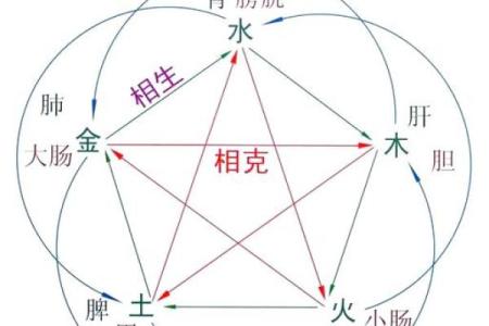 杨柳木命与哪些命最合用?解密五行间的和谐之道!