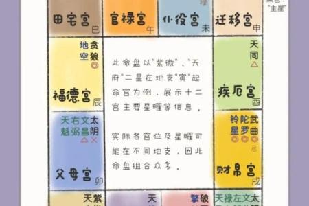 探秘紫薇命格:如何找出最适合你的命运之路