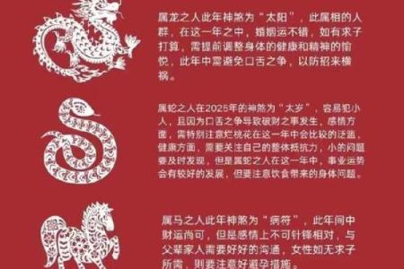 杨柳木命的深意与双龙之缘:探索生命的象征与命理