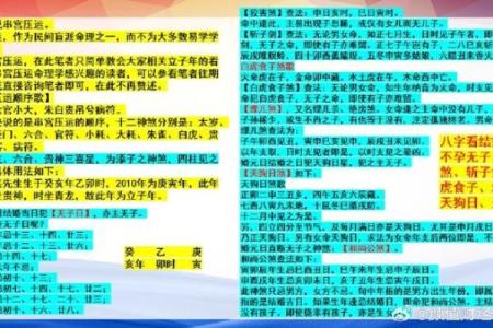 无子息之命:解读生命中的无奈与选择