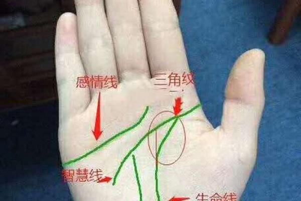 探索文武命格的深奥奥秘：揭示命理背后的智慧与生命的选择