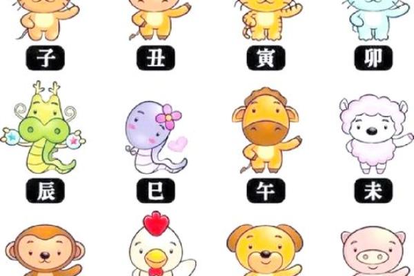 托财命的生肖女命解析：财富与命理的奇妙关系