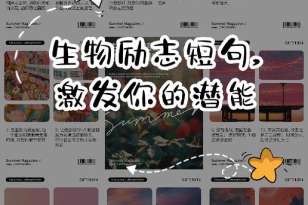 探寻壬申年二月初九的命理秘境，解锁人生奥秘与潜能！