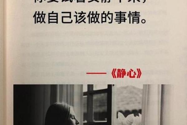 寻找内心的平静：从纷扰中寻找自我
