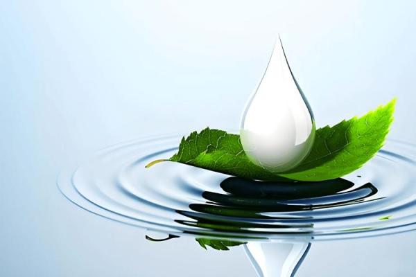 水命的相生相克：如何利用水命提升生活质量和人际关系