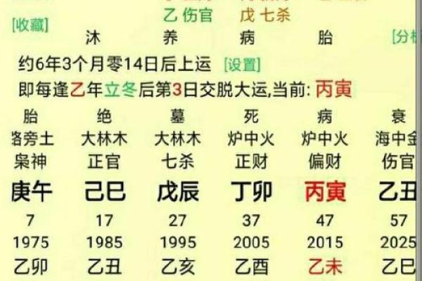 寻找木命命主的幸福：如何选择命中注定的伴侣