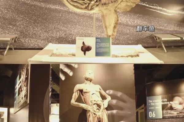 探秘生命之数字：生日尾数为28者的命运之路