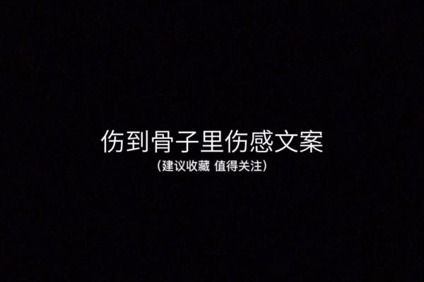 下辈子命都给你了：爱的无私与执着的承诺