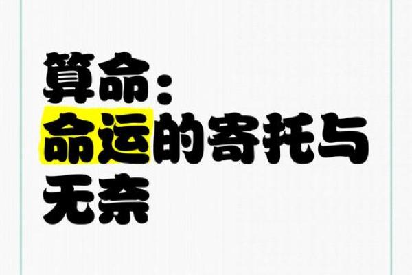 算命的奥秘：揭开命运与人生的神秘面纱