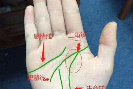 探索文武命格的深奥奥秘：揭示命理背后的智慧与生命的选择