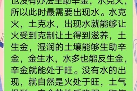 辛命与子命的深层解析:探寻命理的秘密与运势之道