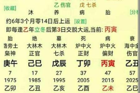 寻找木命命主的幸福:如何选择命中注定的伴侣