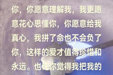 下辈子命都给你了：爱的无私与执着的承诺