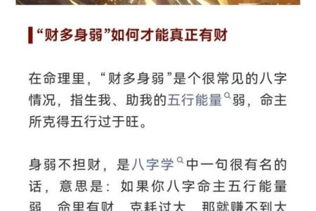 小财之命：生活中的小确幸，这意味着什么？