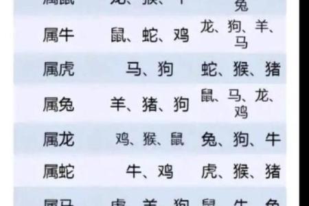 辛酉年属鸡,五行之命:解密你的命运与运势