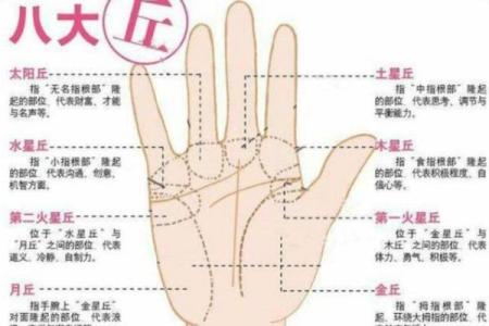 探索食指与无名指平行的命理奥秘与人生启示