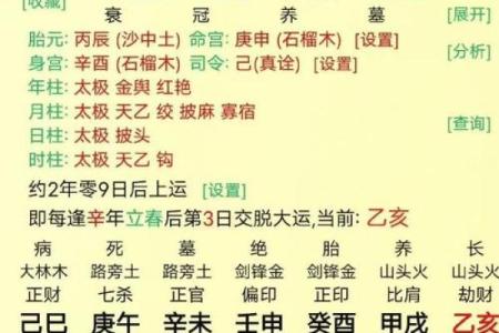 辛未男命与配偶星解析:命运中的奇妙连接