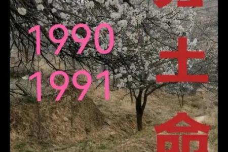 土命人士适合从事哪些生意?解析土命人的创业优势与建议