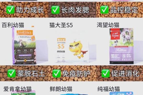 喜欢猫的人五行属什么命，揭秘猫奴的命理特点！