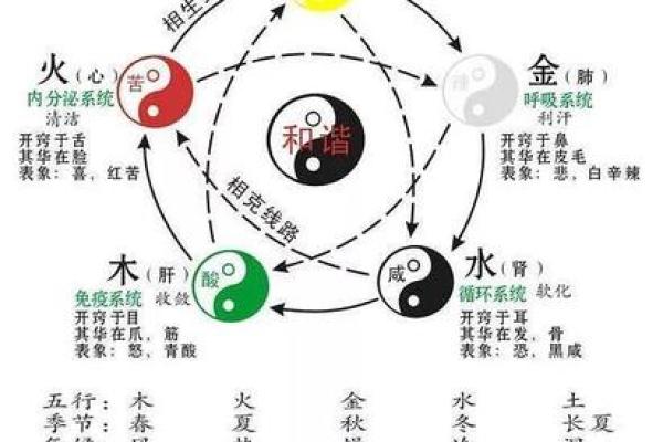 五行属金命与颜色的完美碰撞——揭秘最适合你的五行色彩