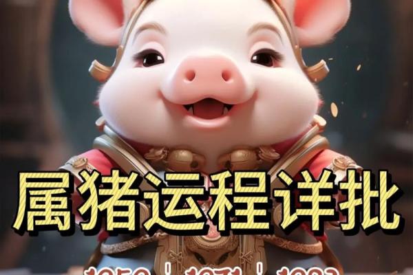 猪年出生者的命运解析：如何利用生肖运势迎接2019机遇与挑战