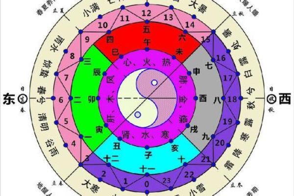 未时出生的女宝宝：羊年命理解析与命运分析