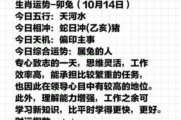 探索属兔人生：揭秘兔年的命理奥秘与运势解析