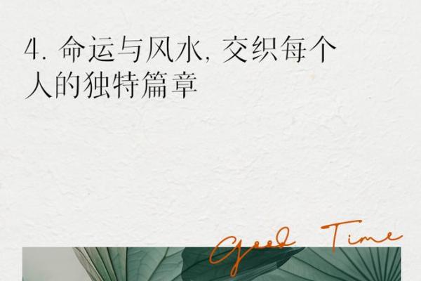 无命消遣的自在思考与人生探寻