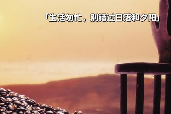 无命消遣的自在思考与人生探寻