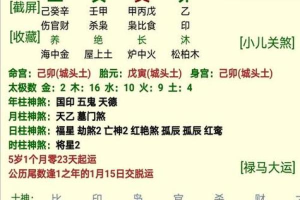 五行缺木的命理解析与生活智慧