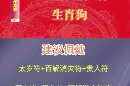 西四命属狗选择楼层的最佳指南:让家居风水与幸福同行!