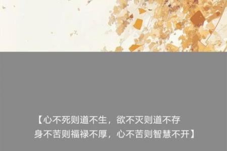 心强之人为何命不强:深度探讨内心力量与命运的微妙关系