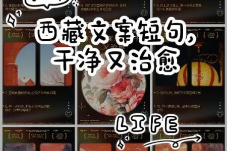 探索信仰的旅途:深度解读申命记中的教训与启示