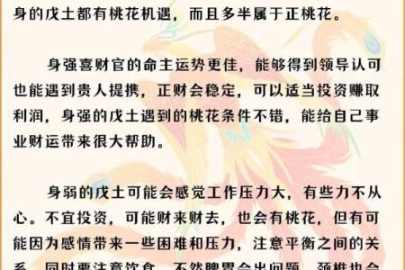 戊土男与命理相合之人:探寻理想婚配与幸福生活