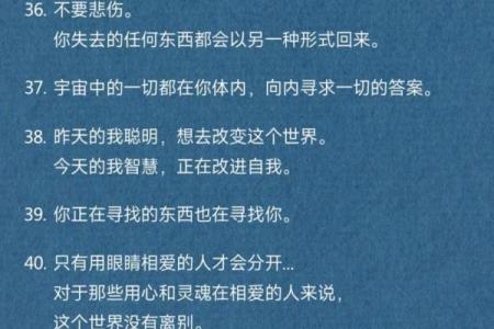 探寻命运的深意:愿王之有以命弊邑的哲思之旅