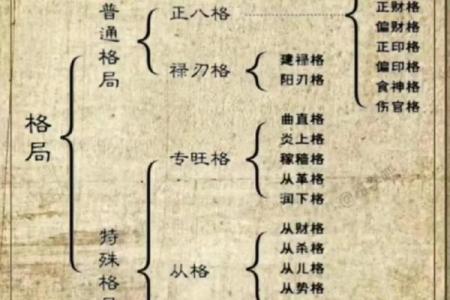 影响八字的因素:揭示女人易离婚生子的命理隐秘