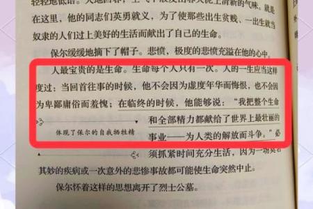 用我的命换取什么:生命的真谛与价值的思考